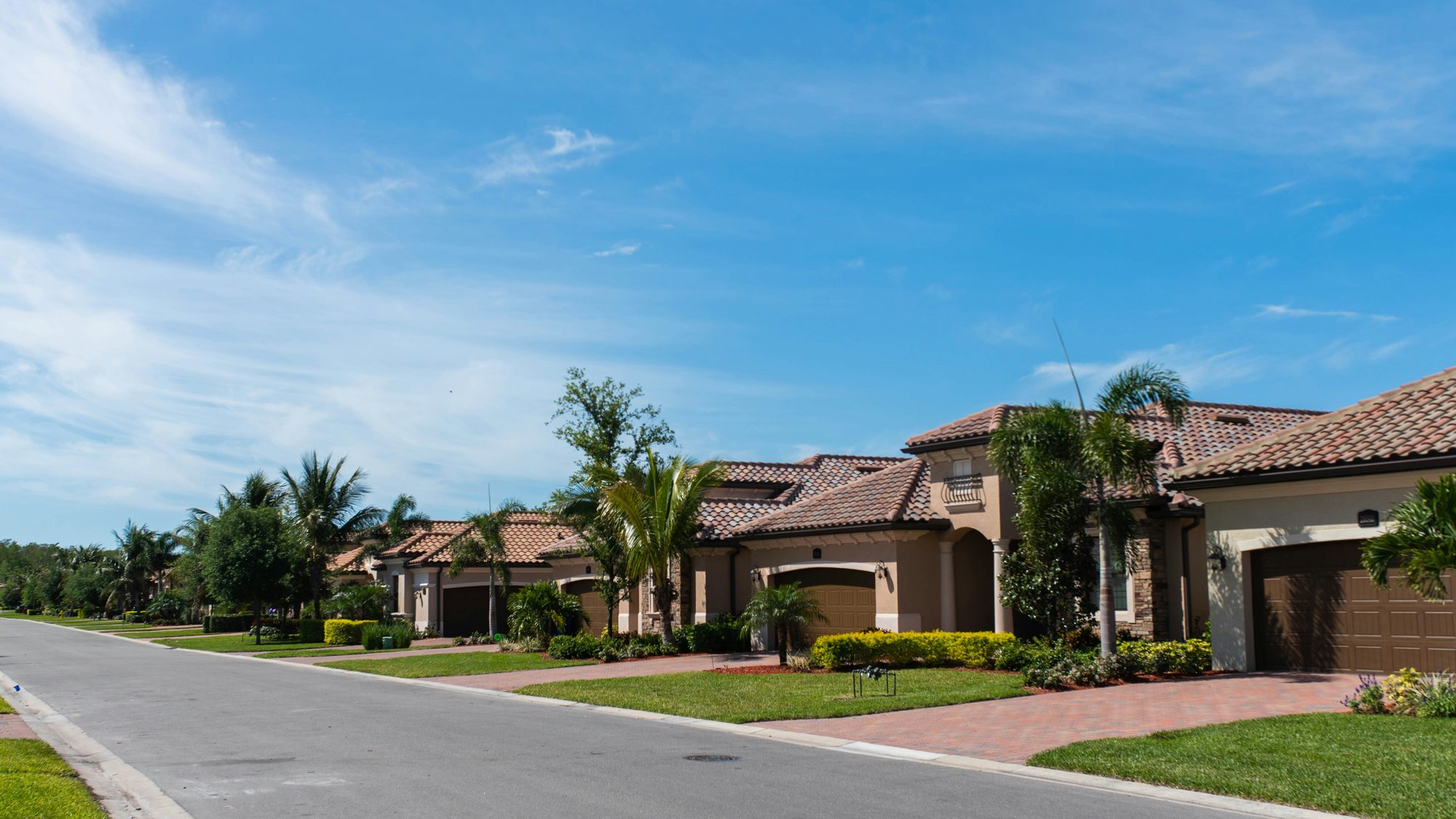Una calle residencial con palmeras en Florida