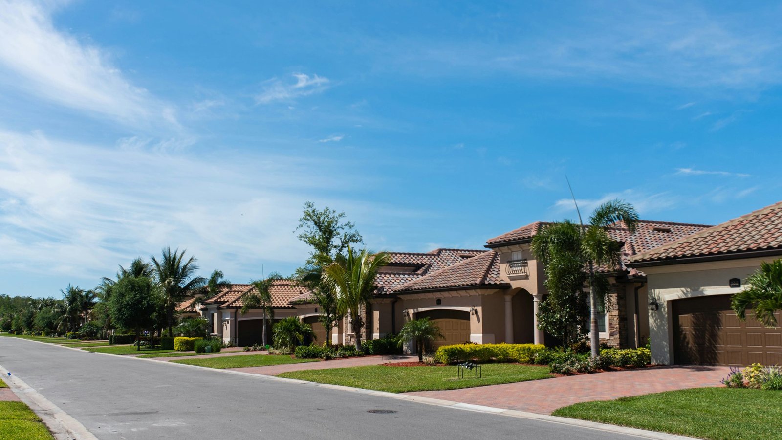 Una calle residencial con palmeras en Florida